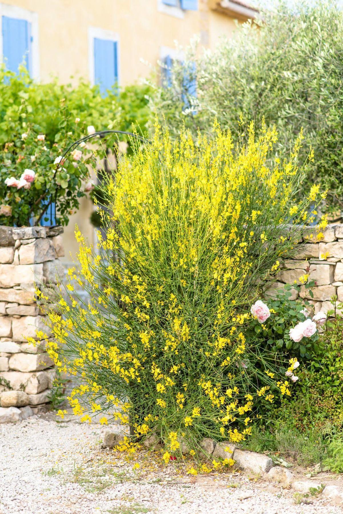 Bastide Saint-Didier ภายนอก รูปภาพ